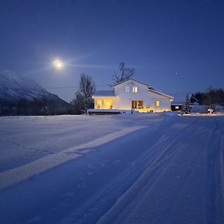 Mountainside Lodge - Breivikeidet Tromso Exterior photo