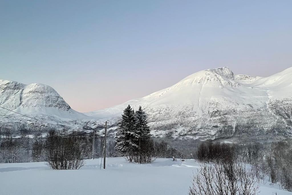 Mountainside Lodge - Breivikeidet Tromso Exterior photo