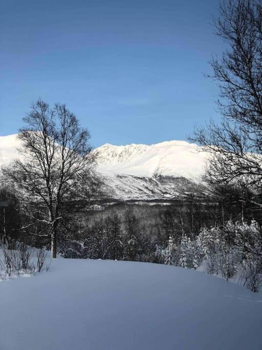 Mountainside Lodge - Breivikeidet Tromso Exterior photo